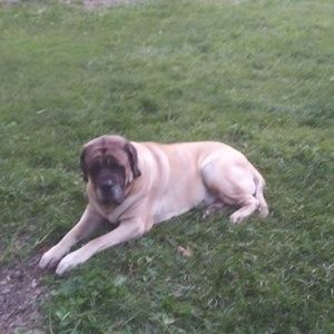 Meet your Posher, Wayne